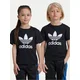 adidas Majica adicolor Trefoil IY2385 Črna Regular Fit