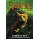 Warriors: Dawn of the Clans #4: The Blazing Star