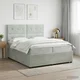 vidaXL Postelja boxspring z vzmetnico Svetlo siva 200 x 200 cm Žamet