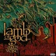Lamb Of God - Ashes Of The Wake (CD)