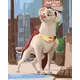 Zuty Slikanje po številkah Kripto z nagajivim pogledom (DC League Of Super-Pets)