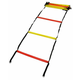 Pure2Improve Frekvenčna vadbena lestev SEDCO Agility PRO 4,5 m