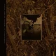 Pixies - Come On Pilgrim... Its Surfer Rosa (Reissue) (Gold Coloured) (3 LP)