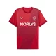 Mens Puma Danish Handball Federation 24/25 Home Jersey, Red, Size XL, Clothing