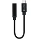 Champion Adapter USB-C na 3,5 mm DAC črn