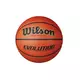 Wilson EVOLUTION, košarkaška lopta, smeđa WTB0516XBEMEA