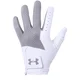Under Armour Rokavice za fitnes UA Medal Golf Glove-GRY