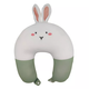 2 in 1 Pillow Green Rabbit