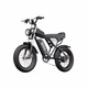 Ridstar Ridstar Q20 električno kolo - 750W motor 48V20Ah baterija 20 pnevmatike hidravlične zavore - črna, (21347453)