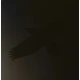 Sigur Rós - Odins Raven Magic (2 LP)