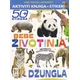 Džungla - Bebe životinja