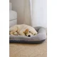 Paws & Whiskers Krevet za ljubimce Sally Dog, 55x75x8 cm, Sivi