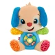 Fisher-price kuca sveznalica ( 1100041428 )