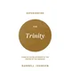 Experiencing the Trinity