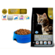Matisse High Premium Suva hrana Adult Neutered Chicken & Rice 10kg