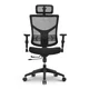 Ergovision Ergonomski pisarniški stol ESSENT | Barva: Črna