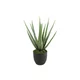 Dekordom Cvet u saksiji aloe 49cm 768198 - green - dcs ( 040141 )