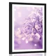 Plakat s paspartujem vijolični cvet španskega bezga - 30x45 silver