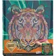 Grafix Diamantna slika na okvirju Tiger 30x30cm