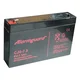 Alarmguard Backup Battery 6V, 7.5Ah, 112A