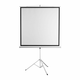 S-box PROJEKTORSKO PLATNO PSMT-96-2 / 172 x 172 cm - Tripod