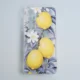 Maska Print Summer Vibe za Samsung A27 5G/ A276B Lemon Blossom