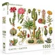 New York Puzzle Company - Puzzle Kaktusi - Kaktus - 1 000 kosov