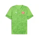 Mens Puma Girona FC Training Jersey, Green, Size L, Sport