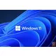 Microsoft Windows 11 Home 64bit, English, FPP Licenca (HAJ-00089)