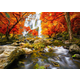 Enjoy - Puzzle Autumn Waterfall - 1 000 dijelova