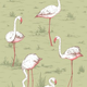 Cole & Son Ozadje FLAMINGOS 11038, kolekcija ICONS