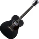 Pasadena PG-200E Black Elektroakustična jumbo