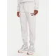 Reebok Spodnji del trenirke Stacey RK25166CCW Siva Regular Fit