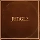 Jungle - Sunshine (CD)