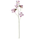 Dekozweig Bauhinia I Pink/braun
