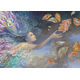 Grafika Puzzle Catching a wish 2000 kosov
