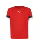 PUMA Funkcionalna majica TeamRise  rdeča / črna / bela