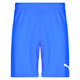 Puma TEAMRISE MATCHDAY Modra