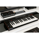 IK Multimedia MIDI kontroler IK Multimedia iRig Keys 2