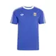ADIDAS PERFORMANCE Funkcionalna majica AFA modra/rumena/bela