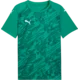 Puma Dres teamFINAL Graphic