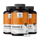 3x Vitamin C 1000 mg - sa šipkom i bioflavonoidima, ukupno 540 tableta