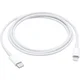 APPLE originalni kabel iz USB-C na Lightning, 1m