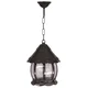 Opviq Spoljna lampa BFE-68184-BSY, 50 cm, Viseća, IP65, E27, 60W, Crna