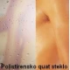 KOLPA SAN tuš stena QUAT TP108