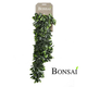 Tolstica viseča plezalka 80 cm - zelena - 76 do 100 cm
