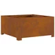 vidaXL vidaXL Ognjišče Kvadrat 80x80x40 cm Jeklena, (22009826)