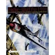 Focke-Wulf Fw 190A: An Illustrated History of the Luftwaffe's Legendary Fighter Aircraft