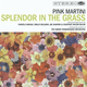 Pink Martini Splendor In The Grass (2 LP) (180 Gram) 180 g