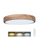 Solight WO8005 - LED prigušiva svetiljka IRON OAK LED/48W/230V 3000-6500K pr. 40 cm + daljinski upravljač